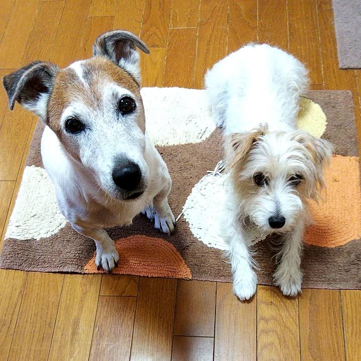 E73d2766 e1e3 4f57 803d 23f07066691a 1568672469083