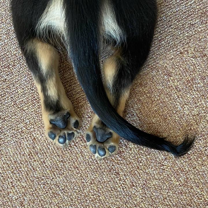 E73d3d5b 0bdb 4e72 95fd 16a4a96fab8d 1668046219792