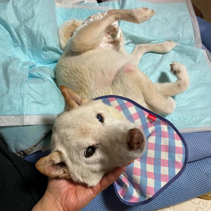 E73d3db2 8c50 4caa ad32 4fe54bc1ebf0 1673598335734