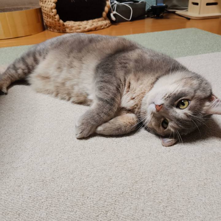 E73d426a 6758 48df 9543 ecf2f4b30f76 1602251338644