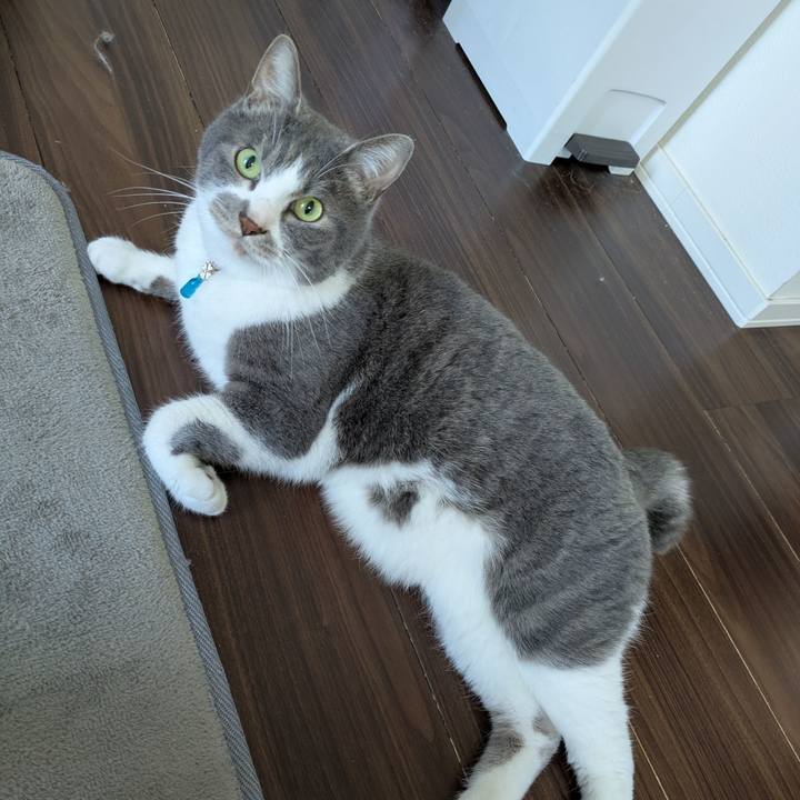 E73d6bf8 7aac 4d73 8e75 3f6c701b20eb 1746583830108