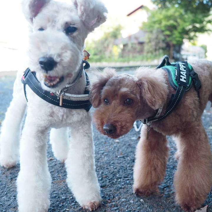 E73da1ff 8763 4e64 ab7b 5be3dd3e6650 1591622896689