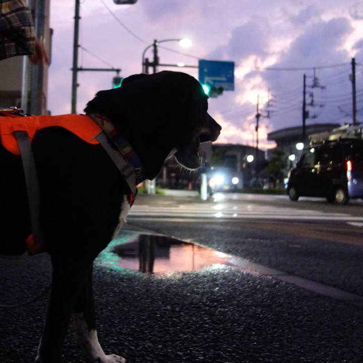 E73e4f13 e42d 4ede a3d4 72cb6f1c1540 1722423390221