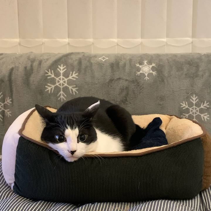 E73e63d7 a9bc 439b bf7f 405ad99f6837 1676604401165