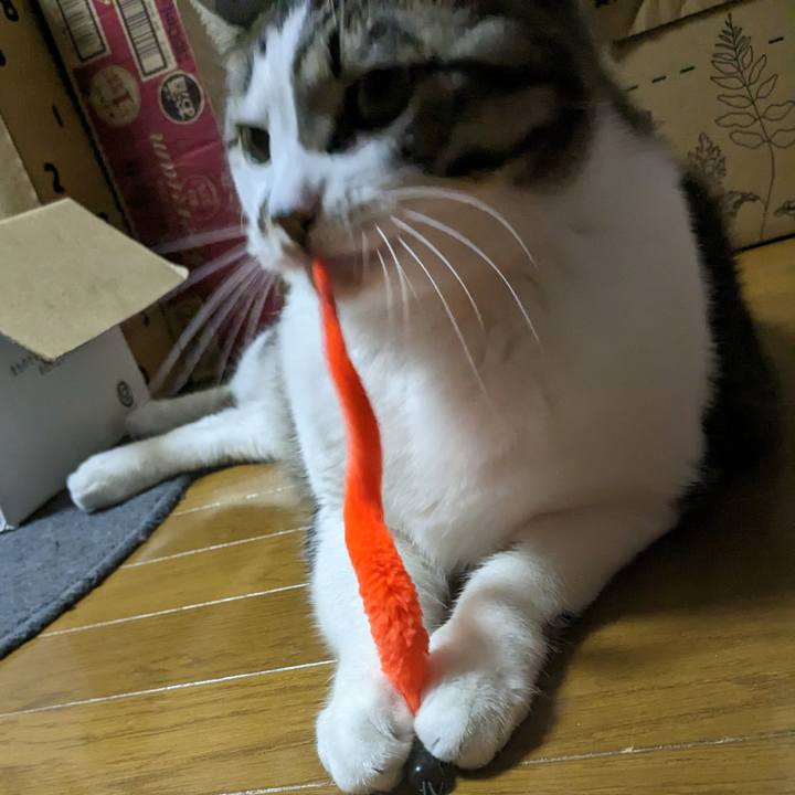 E73e6b4c 8221 42e6 9c73 2445b89867a4 1682815190182