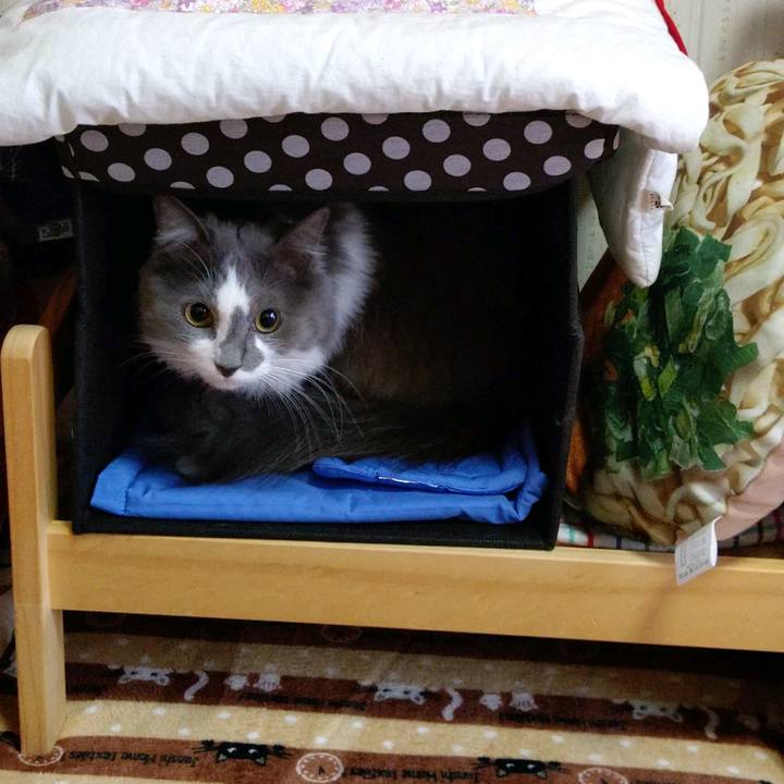 E73e892d d63a 4cd8 ac78 af38789de418 1606536858629