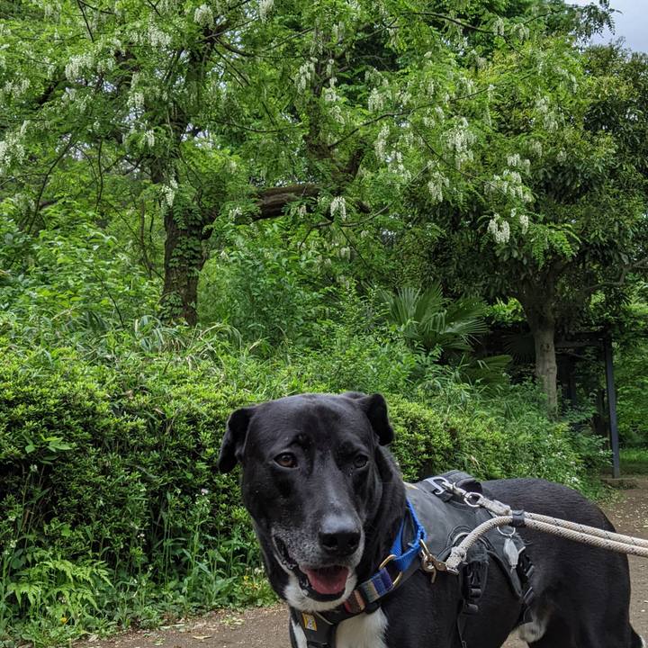 E73e8ab5 61e0 429b b883 8043323d2864 1651107883934