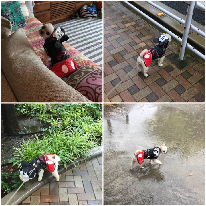 E73e90dd d800 42bc b310 bfcfce9d44f6 1563080870233