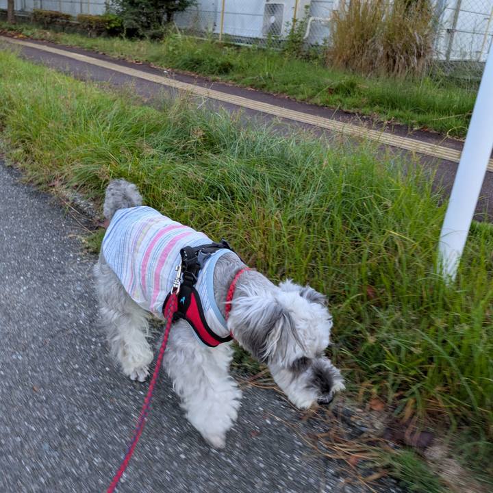 E73ea0ee 499a 4695 9d11 e0897ae1be0c 1760663193248