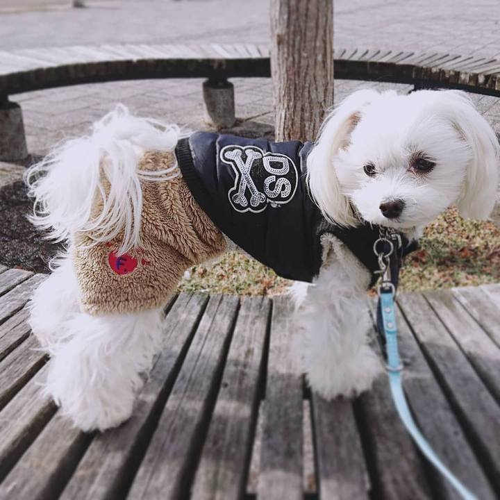 E73eae38 7246 4df5 972d 61c081630cd2 1613782299931