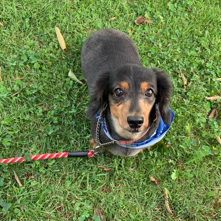 E73ece87 97b5 4762 a518 a55102140b32 1601246133651