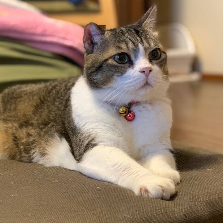 E73ee17e 809b 4cd7 84c8 cd2e0f3484ca 1692315905054