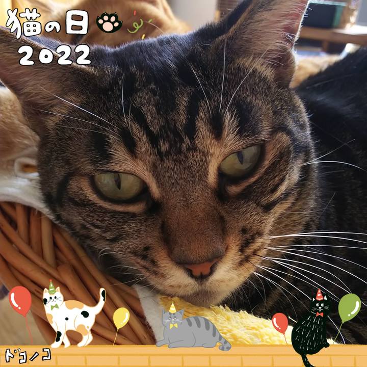 E73f0c42 b98d 40cc bcf7 766d6f5e175d 1645506790150