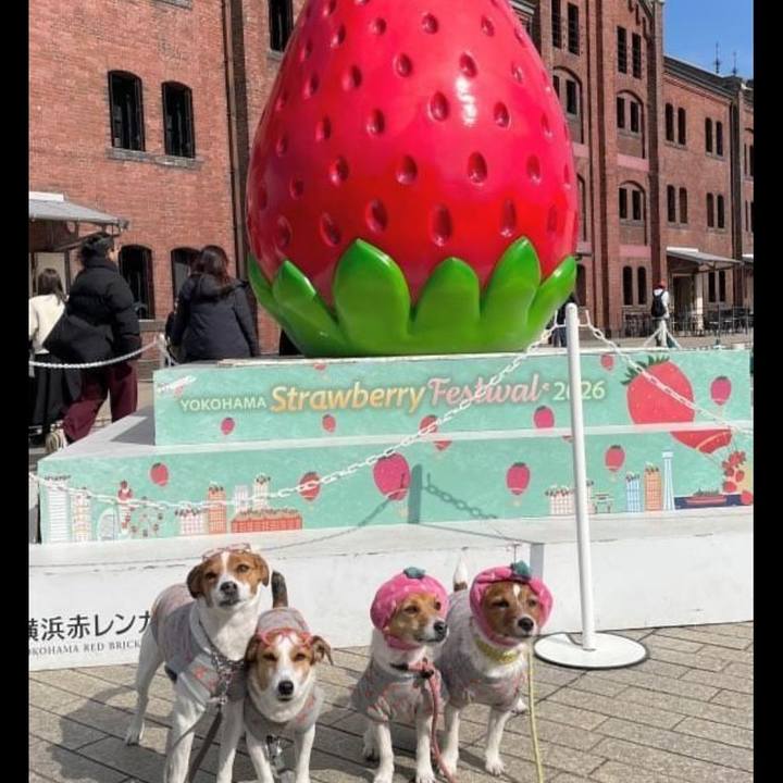 E73f1e70 447c 464a 8a89 50e6bcf3aff8 1770888725369