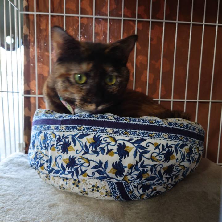 E73f358e 2493 4417 99d6 b6ed0354e03d 1636207256440