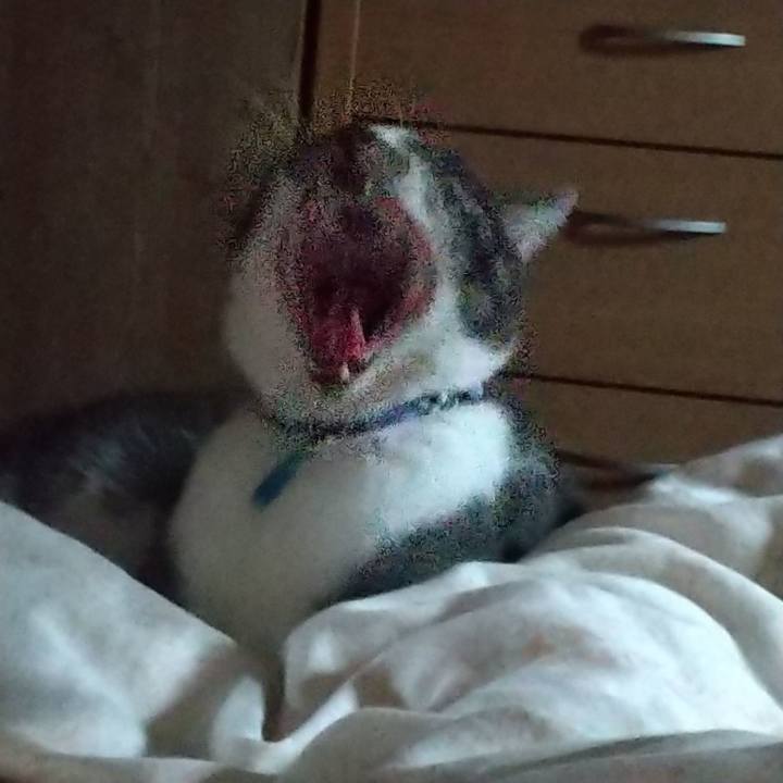 E73f6e47 74b8 46db 9235 81e6f2b93a16 1602285184848