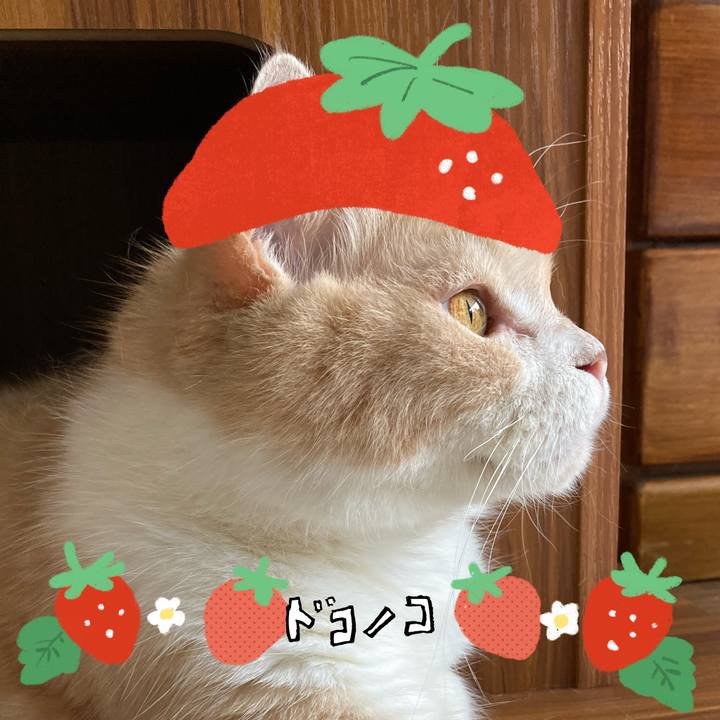 E73f7a7c 99cb 442e a90a 9a35042fe885 1775188245905