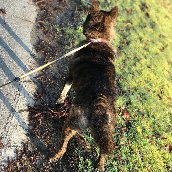 E73f9ae1 6328 4ab7 8e31 0c5f47d1609c 1553033960170