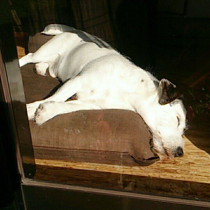 E73f9c11 8d9e 4343 8248 1604b6fd9575 1515541789195