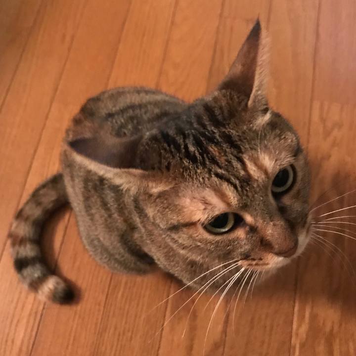 E73fc122 d810 4938 991c bd6ab80fa99e 1596118521398