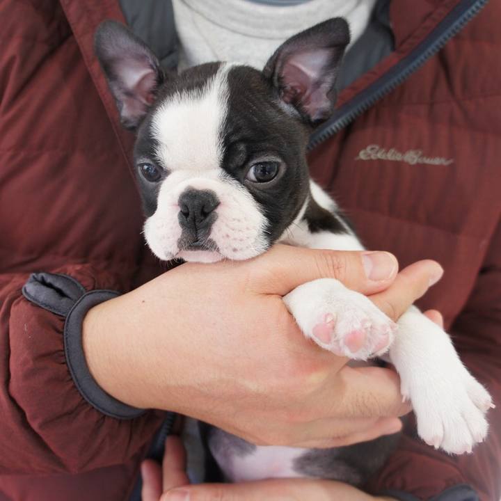 E73ffbb2 0346 445d bd76 d46b420cfaa0 1517704491581