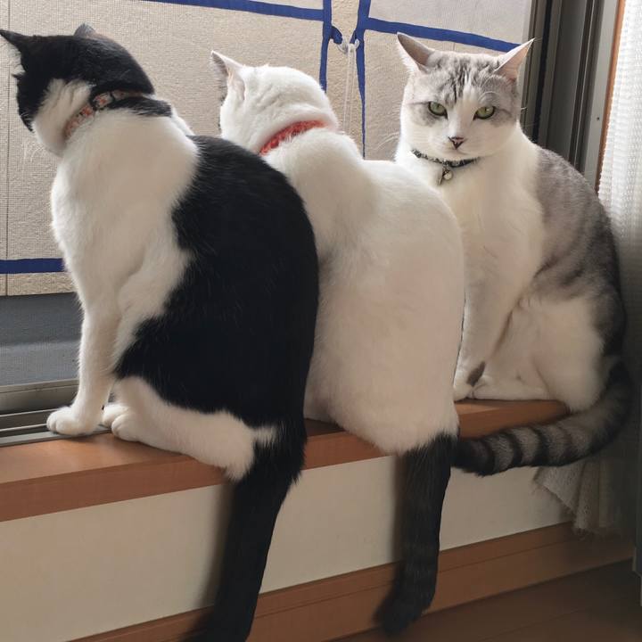 E74005a4 d149 478a a1a8 95fa226c6bf6 1574907239331