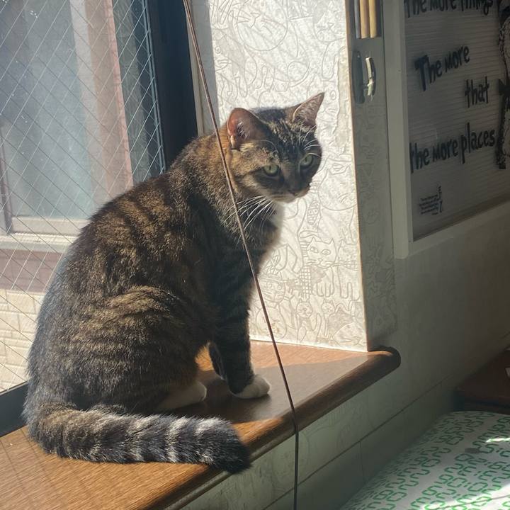 E74005f1 f81e 4094 b933 2199d241cd06 1664070646041