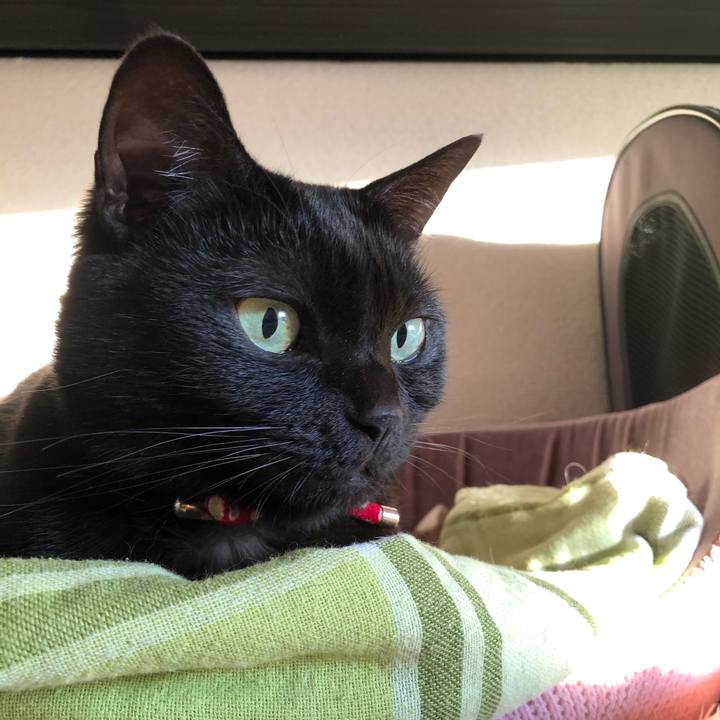 E74019f3 43bc 47cd 844d 7eb939935894 1608590499280