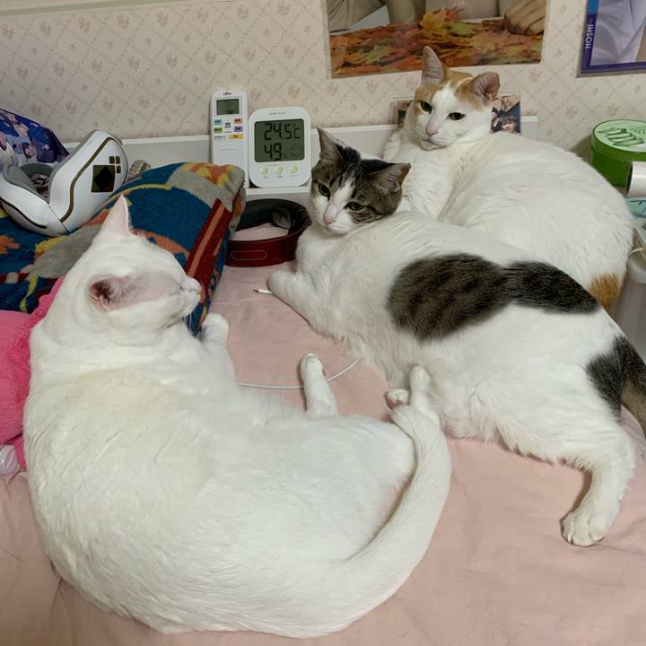 E7403658 1df2 49b3 9d73 dde818c32020 1616706502067