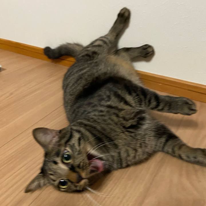 E7404a60 c5bb 4c24 840f 64e699588748 1663674872597