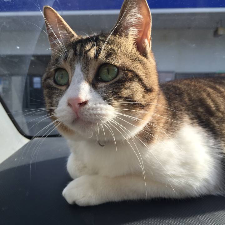 E7404ab6 bcb8 4239 be61 bd18e3a5698c 1517819031129