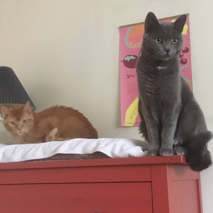 E7405af6 fb2e 4f1d 83ae a166c2743971 1633481146526