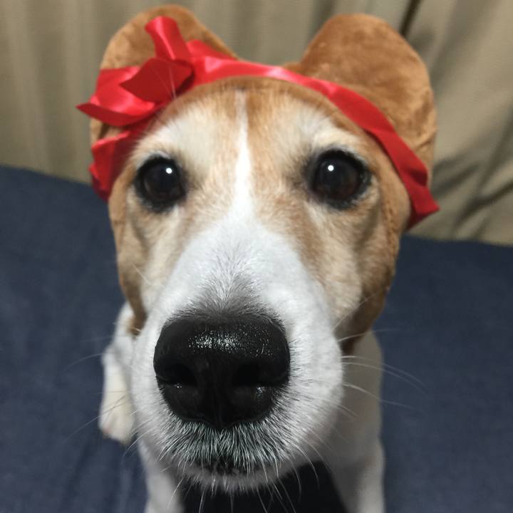 E7407627 b2d4 44de b675 e5d267a8b4d7 1528810520635