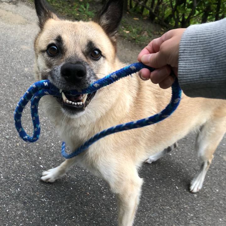 E7409f81 fefc 4f4c 81ef c837628eb20f 1634130959751