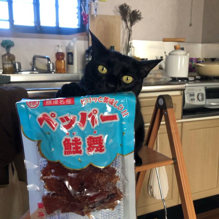 E740a4b9 3894 4a6b b6bd 297490c16e88 1670463703053