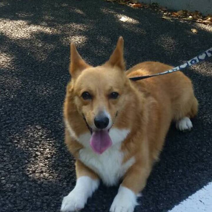 E740a767 3073 40df a775 3338f6a71b7e 1508129042358