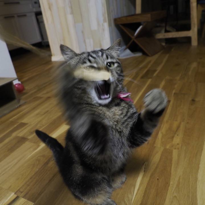 E740aded e22e 4ab9 b369 e89417ddaba1 1625910620646