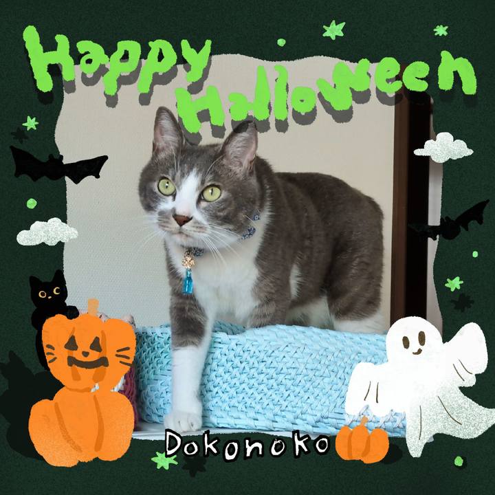 E740e8d1 3bde 4250 9fb5 26fcb99edb58 1729302267584