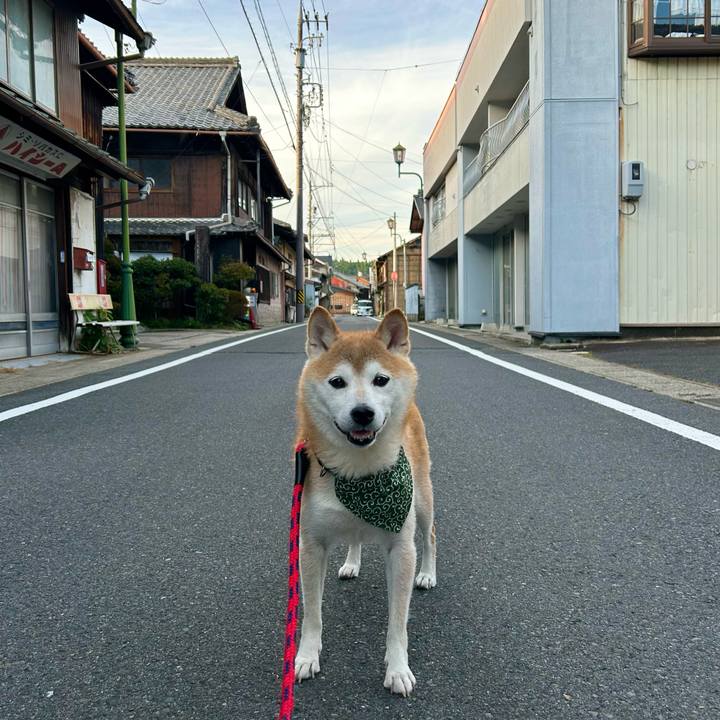 E740f761 2e96 45c0 8610 feef6f49d4f4 1697365711317