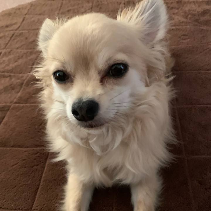 E7413499 b58b 4f51 bfd8 85e0493a8746 1621739752567