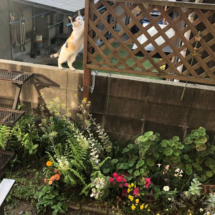 E7415935 212a 4212 b3f4 2fbd2fa30f35 1617922876311