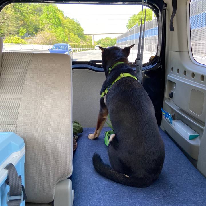 E7417491 26be 478f b853 bc9eec6eb7f5 1620135501714