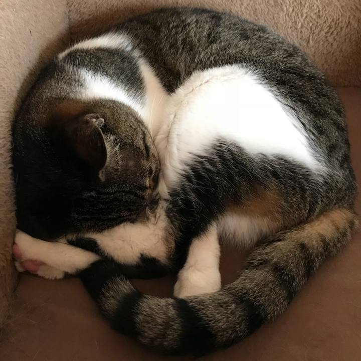 E74190b7 7d76 4111 96d0 b3c55f9bdf65 1531877628417