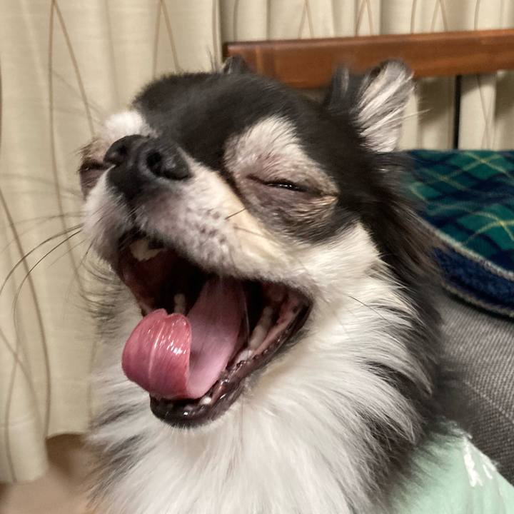 E741a1b4 1471 4b76 91ec cf273a92323a 1648909489584