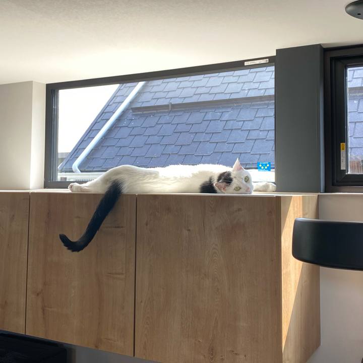 E741d5c4 816f 42ee afb9 049166fddf6e 1752275019109