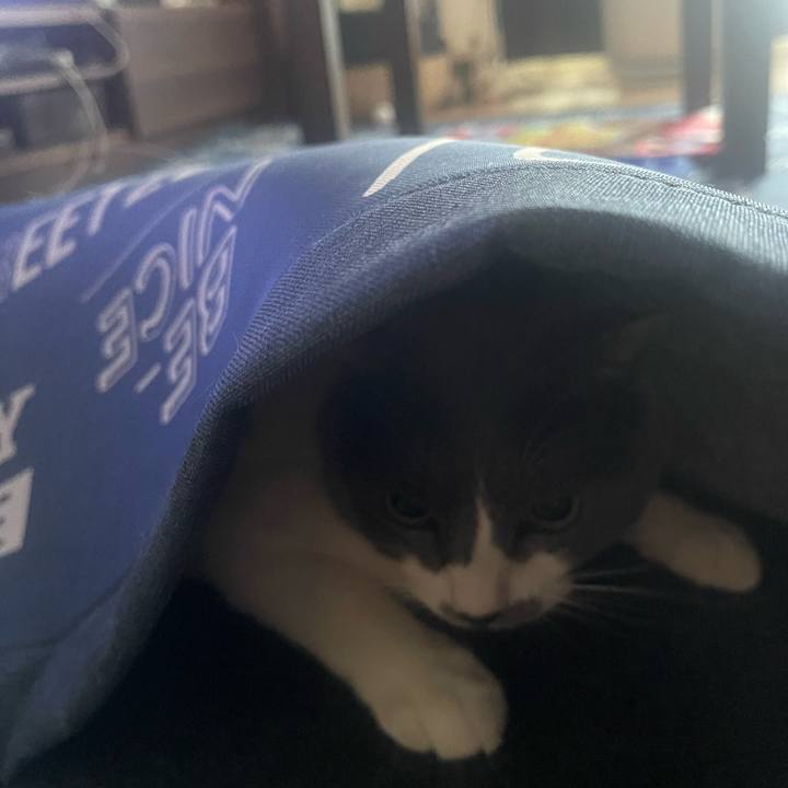 E741e024 99b0 4299 97c4 e6797c882282 1691101488885