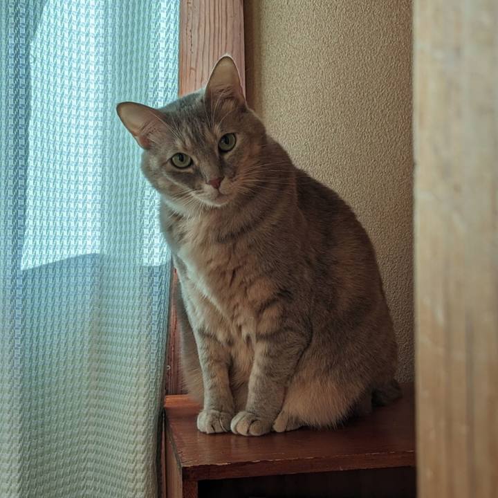 E7421363 7f67 4950 8014 a946ff94e831 1708227816350