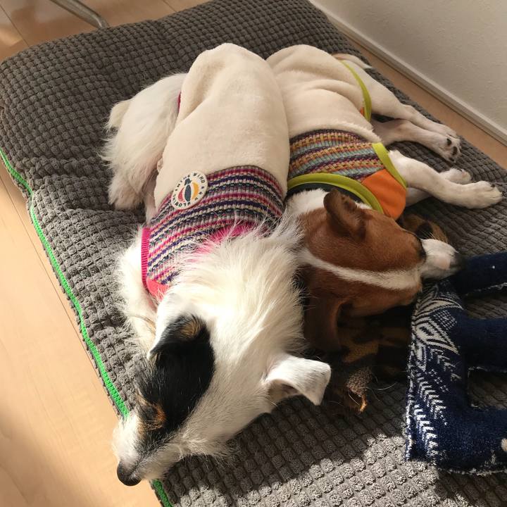 E7423bf2 1ada 47b4 a092 bd038d8d2c13 1510547667712