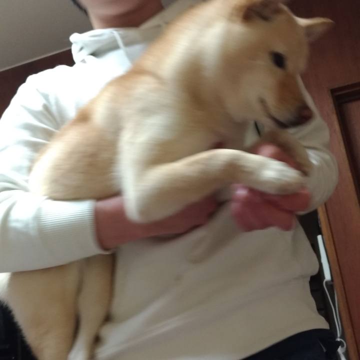 E7424616 c624 4138 8b8b 64f0e8dd4761 1551703594135