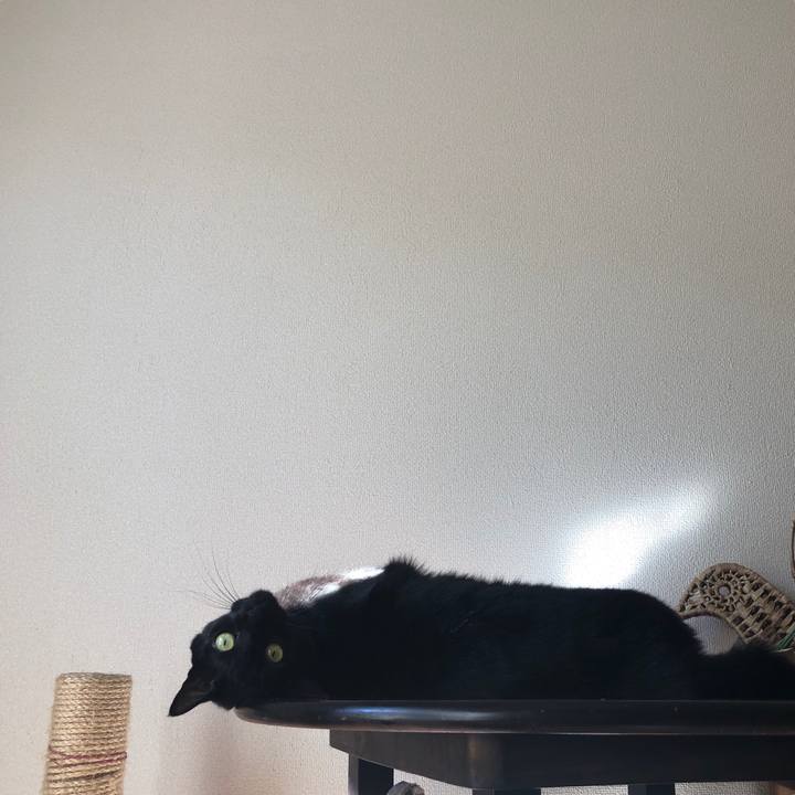 E7425fee 2425 43ef a837 1c72b96f8e98 1544842180564